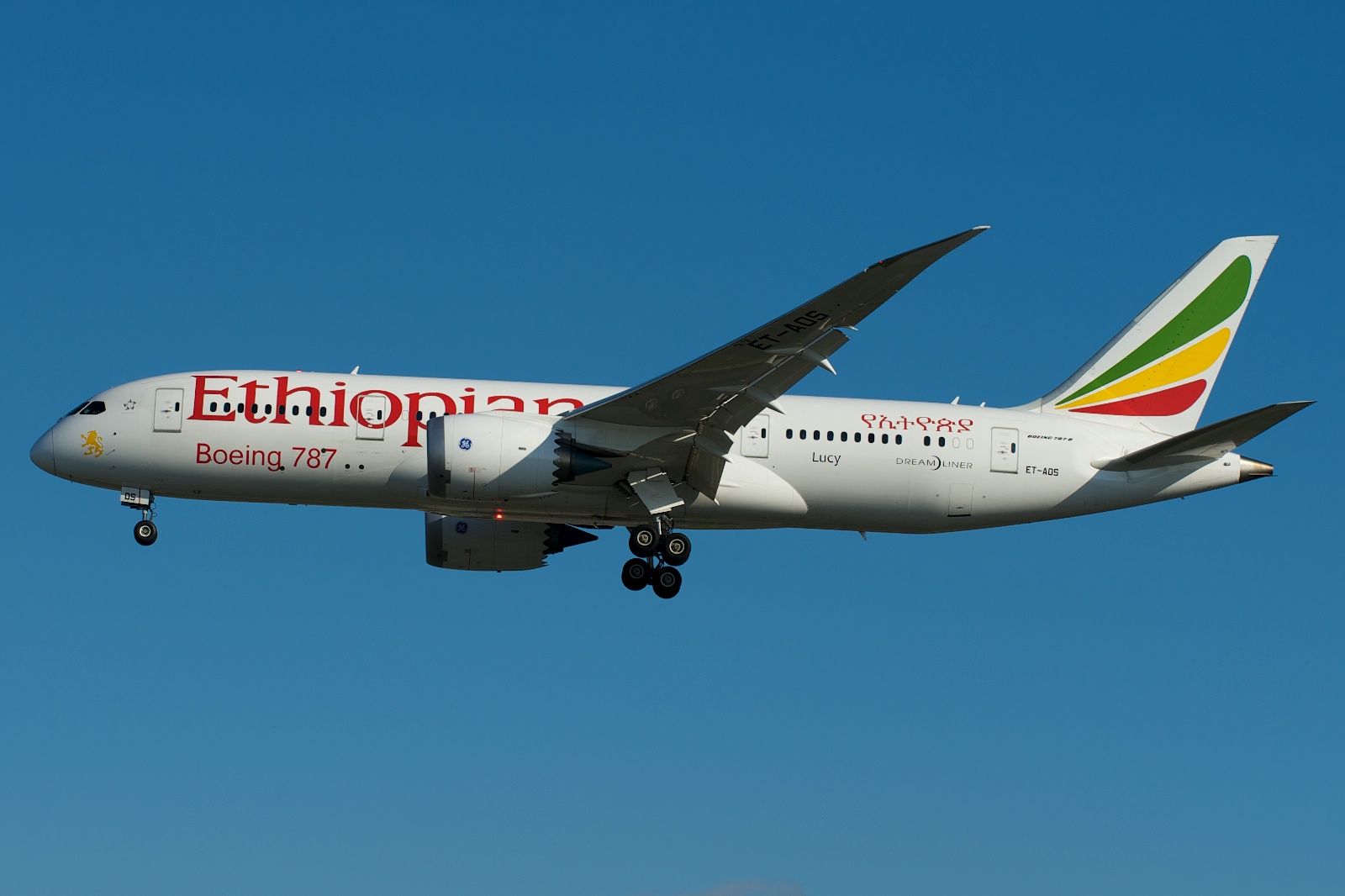 Ethiopian_Boeing_787-8_ET-AOS_14020818667.jpg