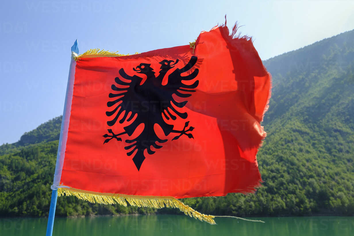 албания