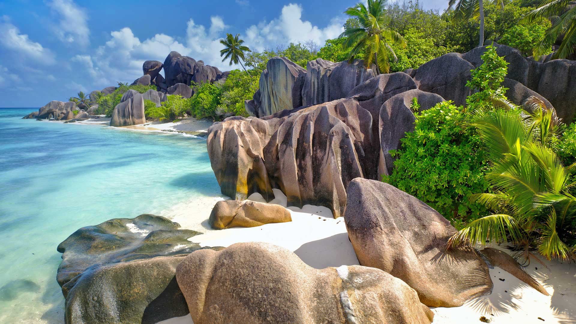 seishelskie ostrova ostrov la dig kamni skaly palmy more oke
